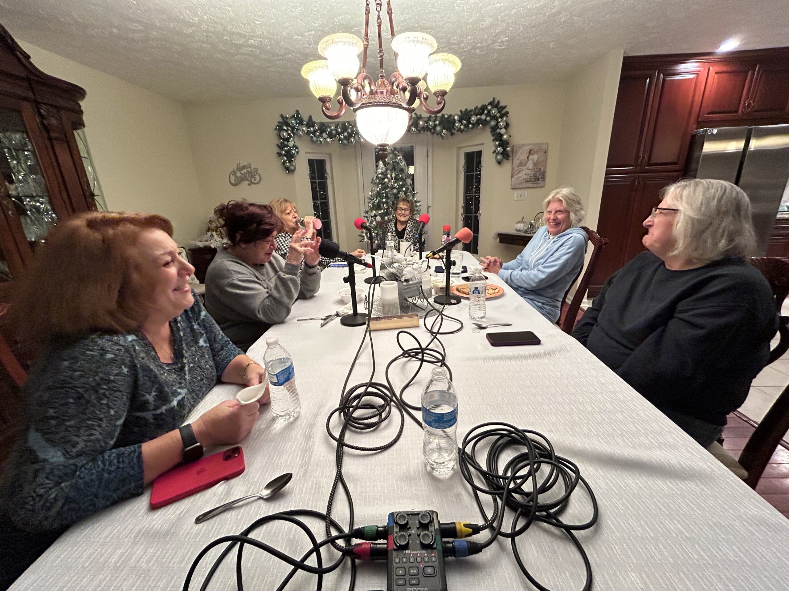 The Merry Widows Podcast